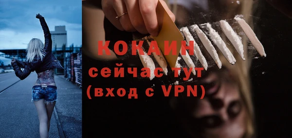 соль ск Гусь-Хрустальный
