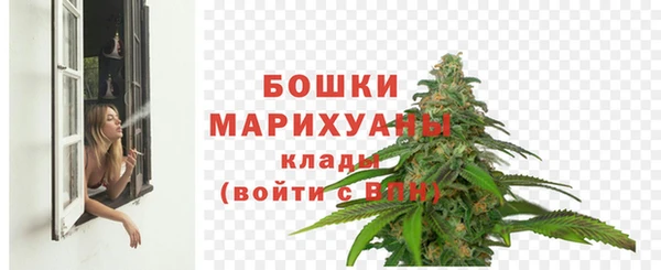 хмурый Гусев