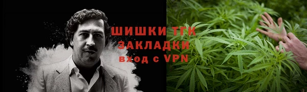 хмурый Гусев