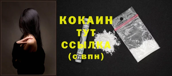 соль ск Гусь-Хрустальный