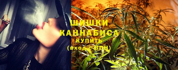 хмурый Гусев