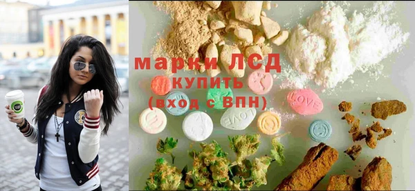 хмурый Гусев
