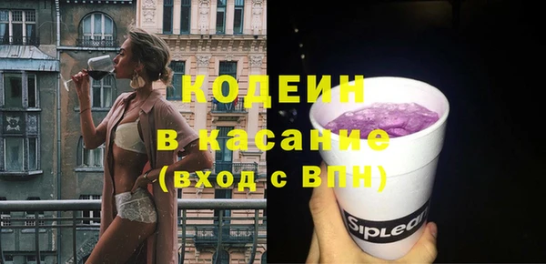 хмурый Гусев