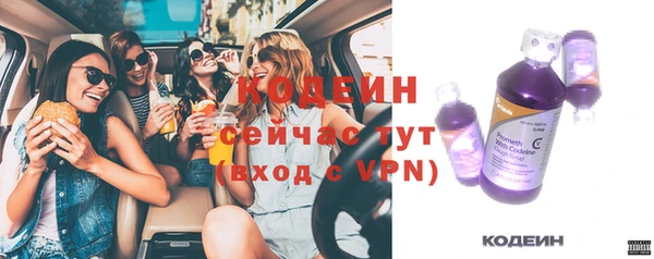 хмурый Гусев