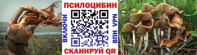 Псилоцибиновые грибы Psilocybe  купить закладку  Жуковский 